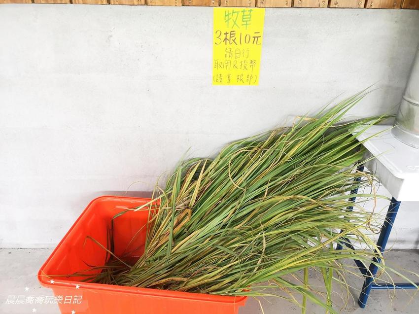 宜蘭親子景點心花鹿Fun