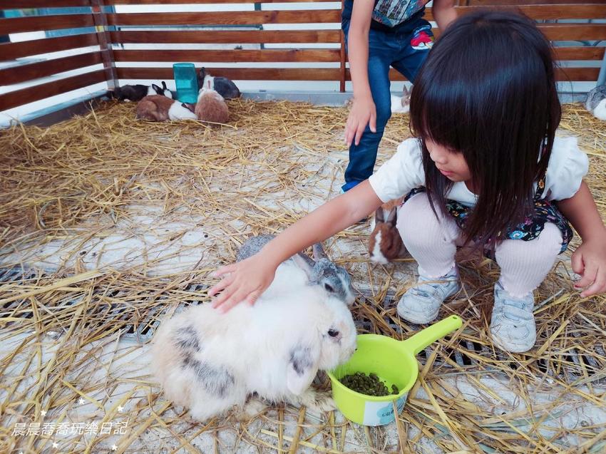 宜蘭親子景點心花鹿Fun