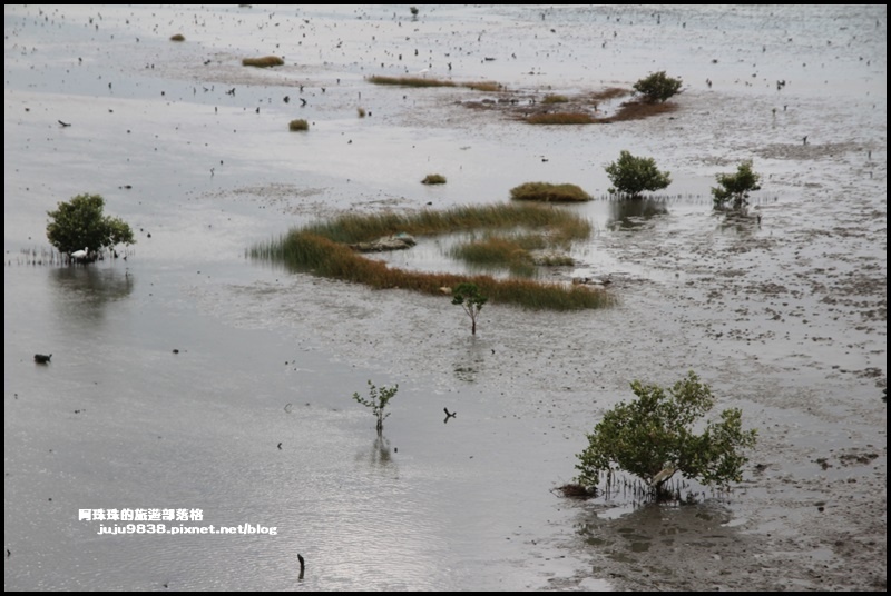 賞蟹步道20.JPG 賞蟹步道20.JPG