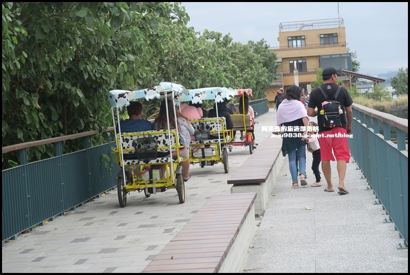 賞蟹步道29.JPG 賞蟹步道29.JPG