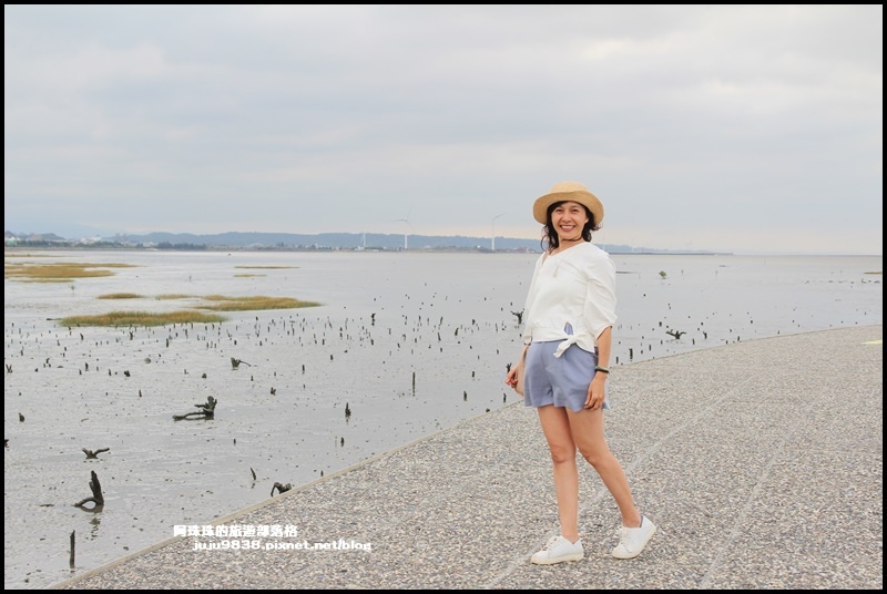 賞蟹步道25.JPG 賞蟹步道25.JPG