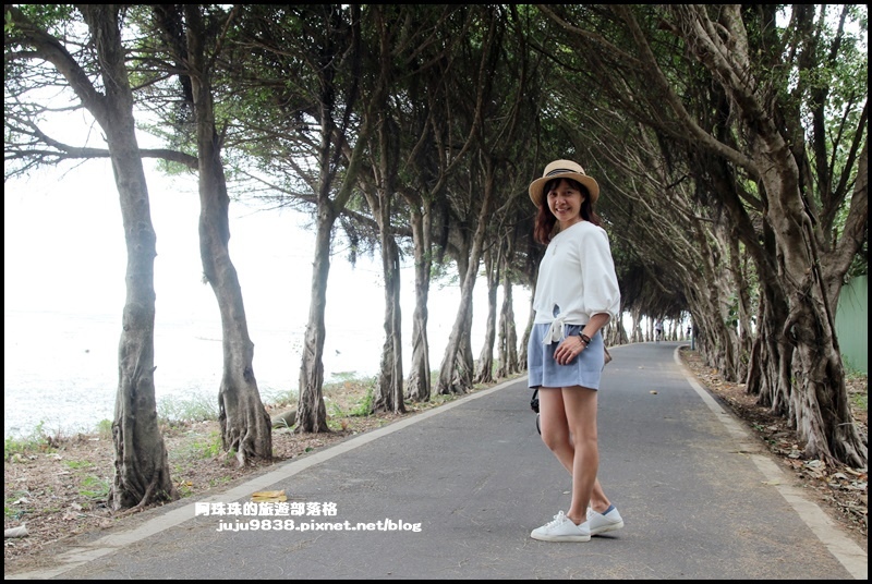 賞蟹步道14.JPG 賞蟹步道14.JPG