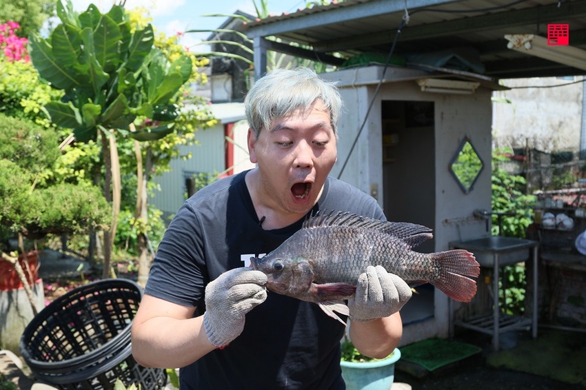 高雄美濃餐廳景點推薦／里長台灣鯛從產地到餐廳只要10秒　自產自銷好運敲敲魚、客家砂鍋台灣鯛 - 跟著華少吃吃吃