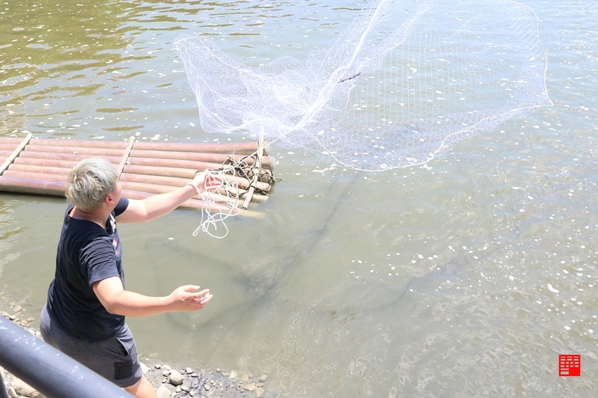 高雄美濃餐廳景點推薦／里長台灣鯛從產地到餐廳只要10秒　自產自銷好運敲敲魚、客家砂鍋台灣鯛 - 跟著華少吃吃吃