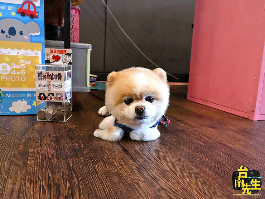 台南牛排館／沙拉濃湯吐司餅乾飲料自助吧吃到飽／免費加飯或加麵／嚴選食材搭配主廚特調醬汁／用餐環境寬敞舒適／料多實在CP值高