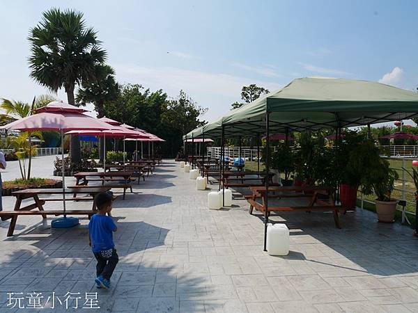 嘉義民雄三隻小豬6.JPG 嘉義民雄三隻小豬6.JPG