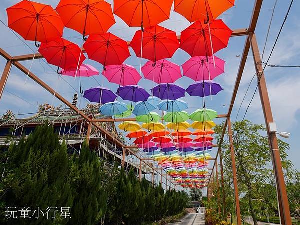 嘉義民雄三隻小豬19.JPG 嘉義民雄三隻小豬19.JPG