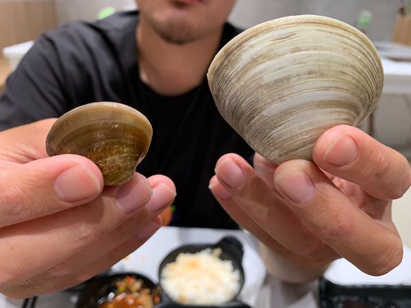 S__77717545.jpg S__77717545.jpg