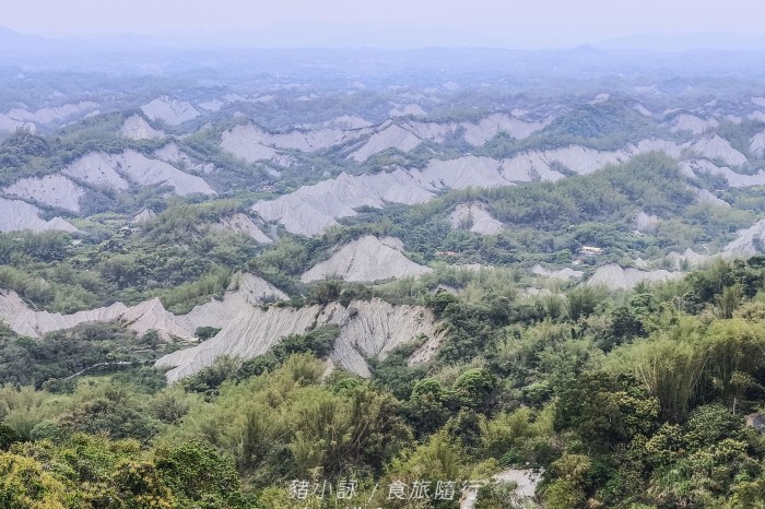 高雄龍華市場檸檬葉泰式料理!道地街邊風味,味蕾的泰式狂想曲~