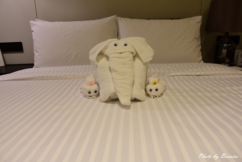 0829 1-新美齊20.jpg