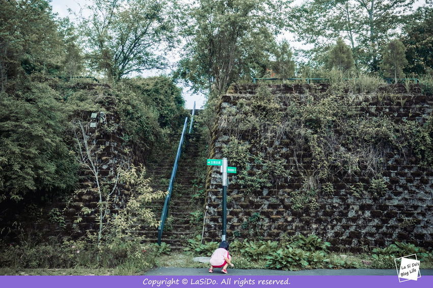 IMG_3381.jpg IMG_3381.jpg