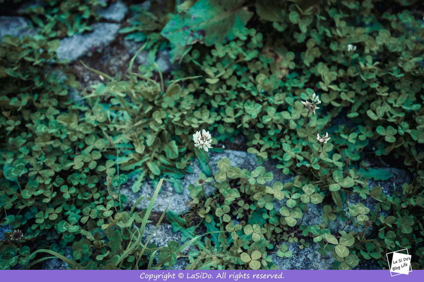 IMG_3372.jpg IMG_3372.jpg