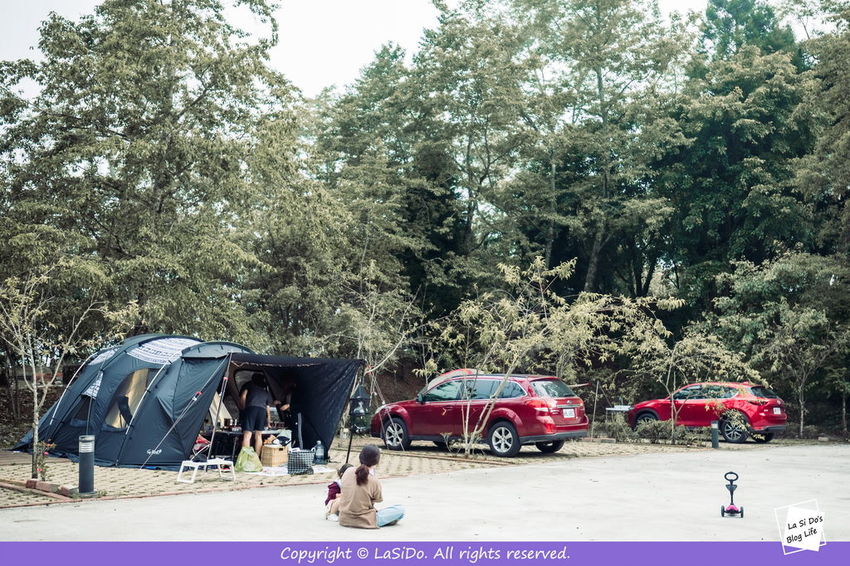 IMG_3408.jpg IMG_3408.jpg