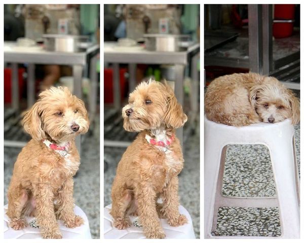 IMG_5451_副本_副本.jpg IMG_5451_副本_副本.jpg