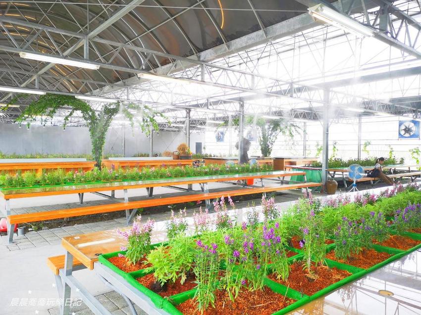 宜蘭景點五十二甲生態農場