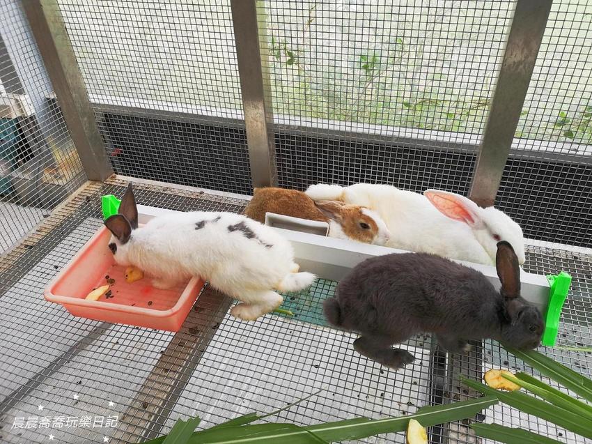 宜蘭景點五十二甲生態農場