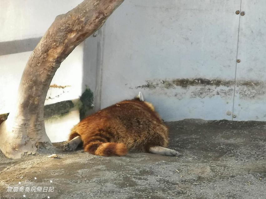 宜蘭景點五十二甲生態農場