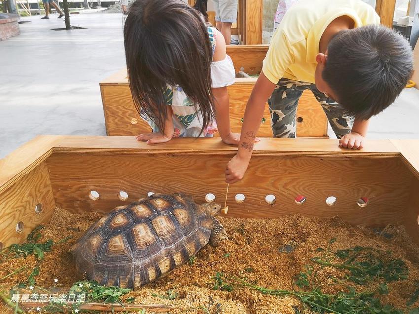 宜蘭景點/五十二甲生態農場