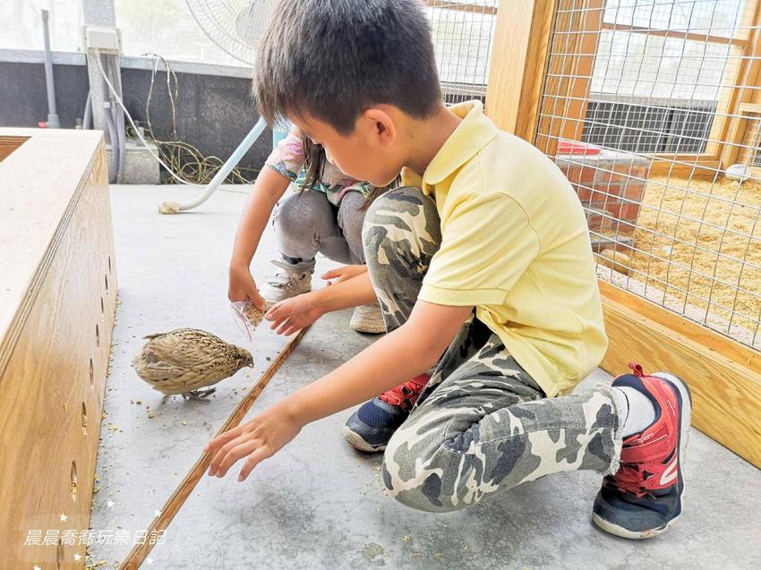 宜蘭景點五十二甲生態農場