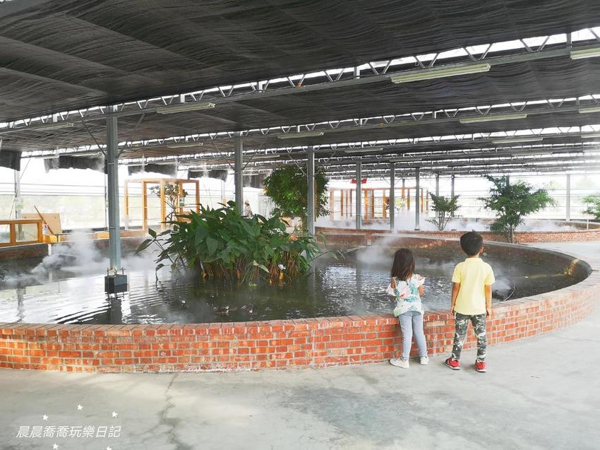 宜蘭景點五十二甲生態農場