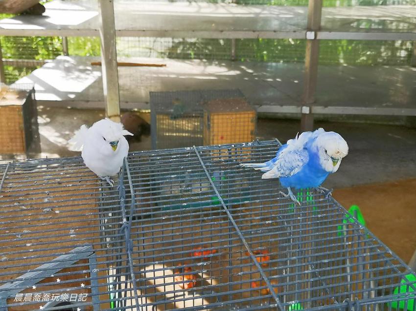 宜蘭景點五十二甲生態農場