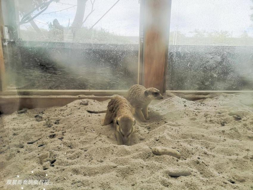 宜蘭景點五十二甲生態農場