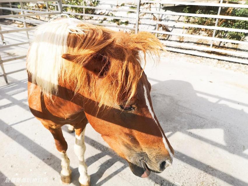 宜蘭景點五十二甲生態農場
