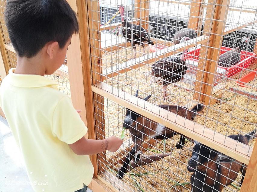 宜蘭景點五十二甲生態農場