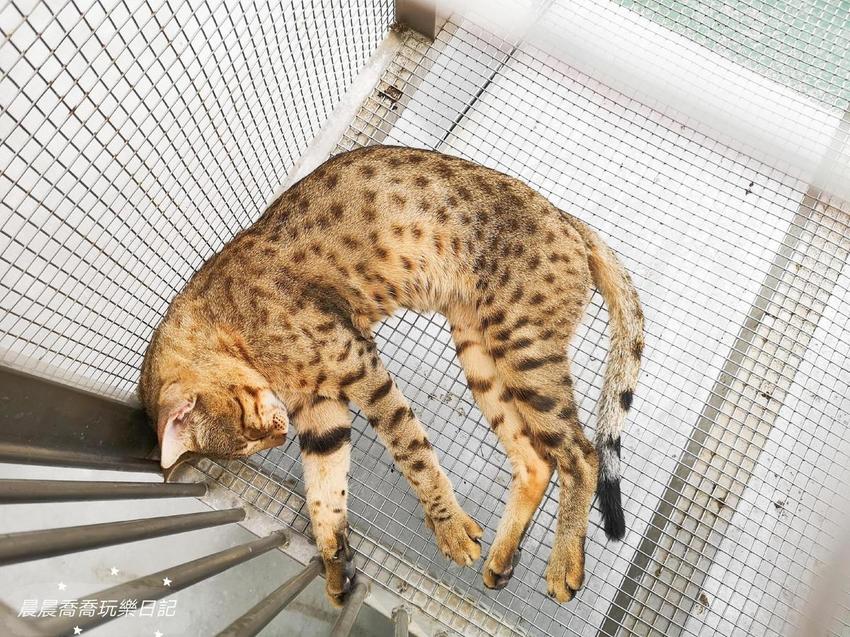 宜蘭景點五十二甲生態農場