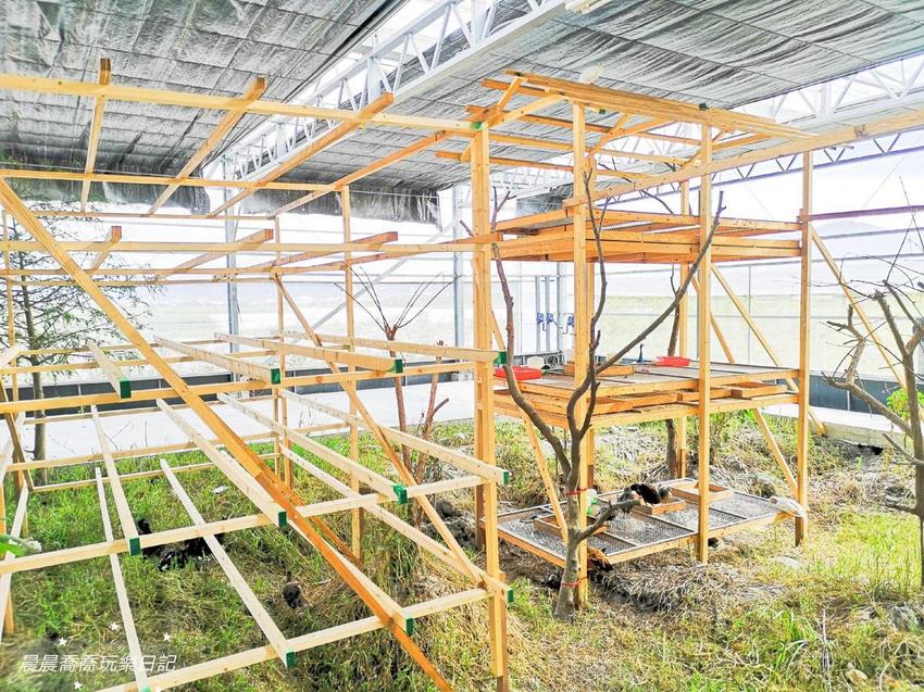 宜蘭景點五十二甲生態農場