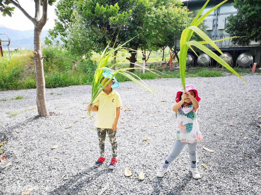 宜蘭景點五十二甲生態農場