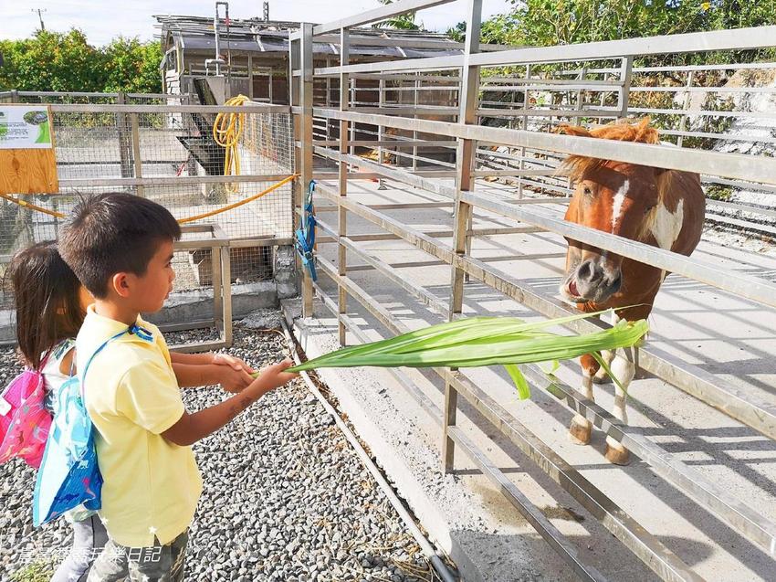 宜蘭景點五十二甲生態農場