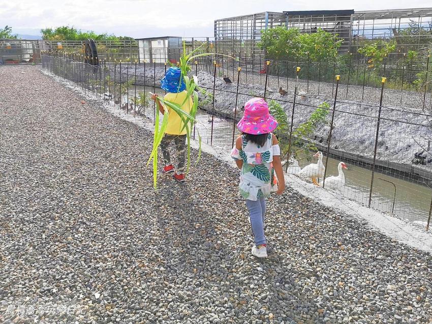 宜蘭景點五十二甲生態農場