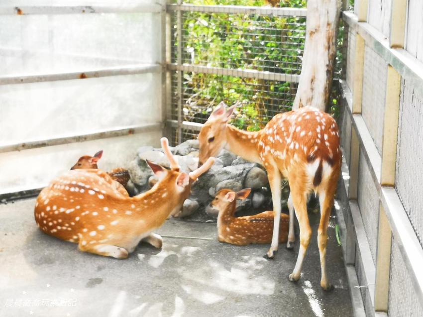 宜蘭景點五十二甲生態農場