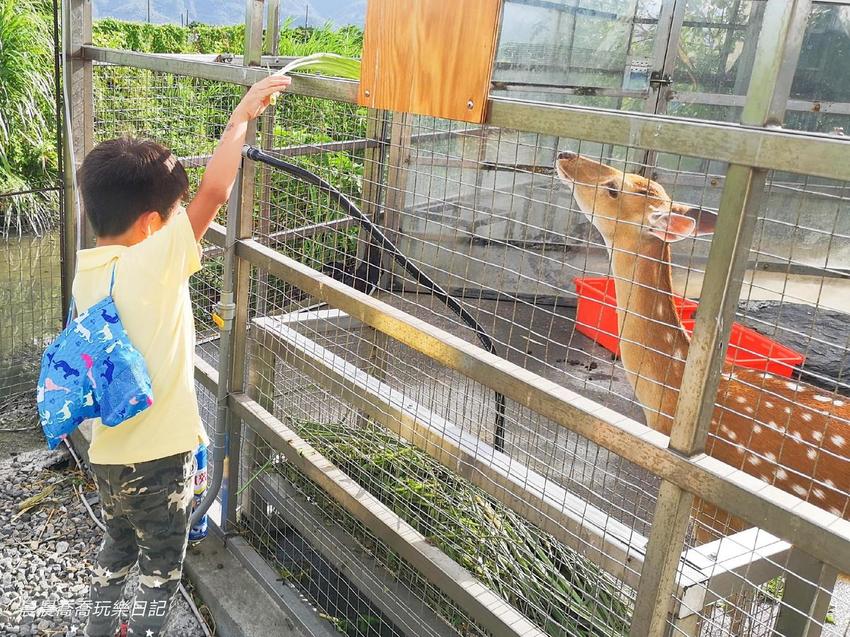 宜蘭景點五十二甲生態農場