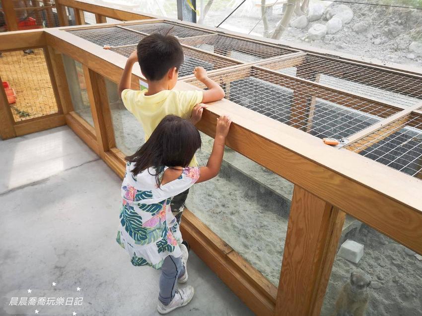 宜蘭景點/五十二甲生態農場