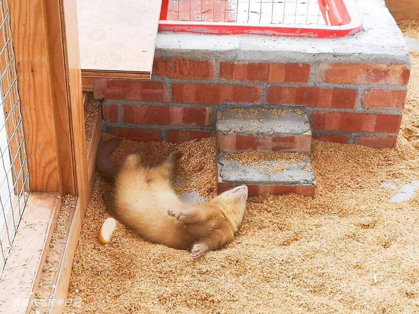 宜蘭景點/五十二甲生態農場