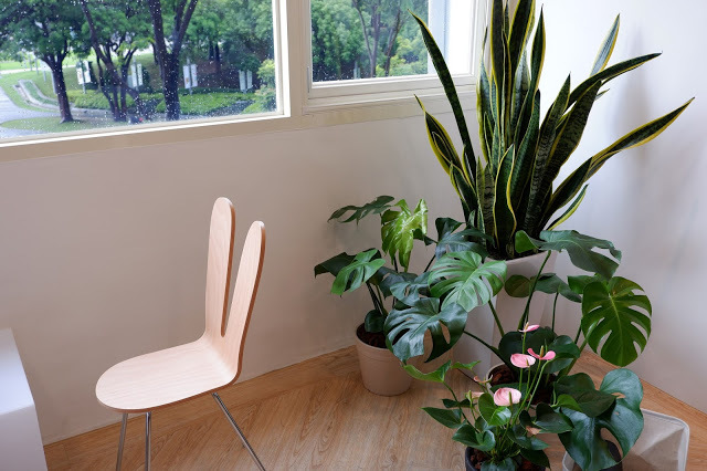 The cafe deco & risograph museum -宛如美術館的咖啡、甜點、設計空間