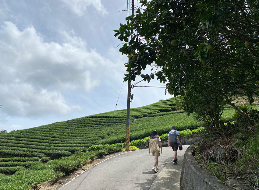 新北石碇鱷魚島、山嵐疊疊碧綠翡翠水庫、友善小車不用爬直接攻頂