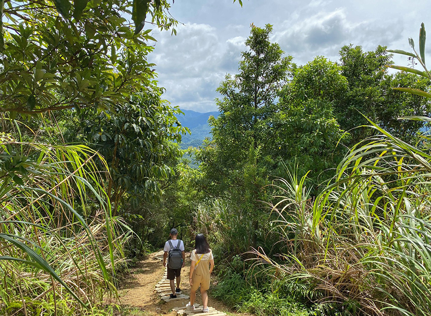 新北石碇鱷魚島、山嵐疊疊碧綠翡翠水庫、友善小車不用爬直接攻頂