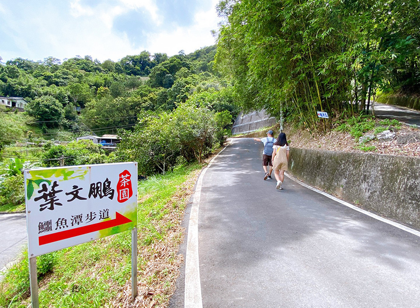 新北石碇鱷魚島、山嵐疊疊碧綠翡翠水庫、友善小車不用爬直接攻頂