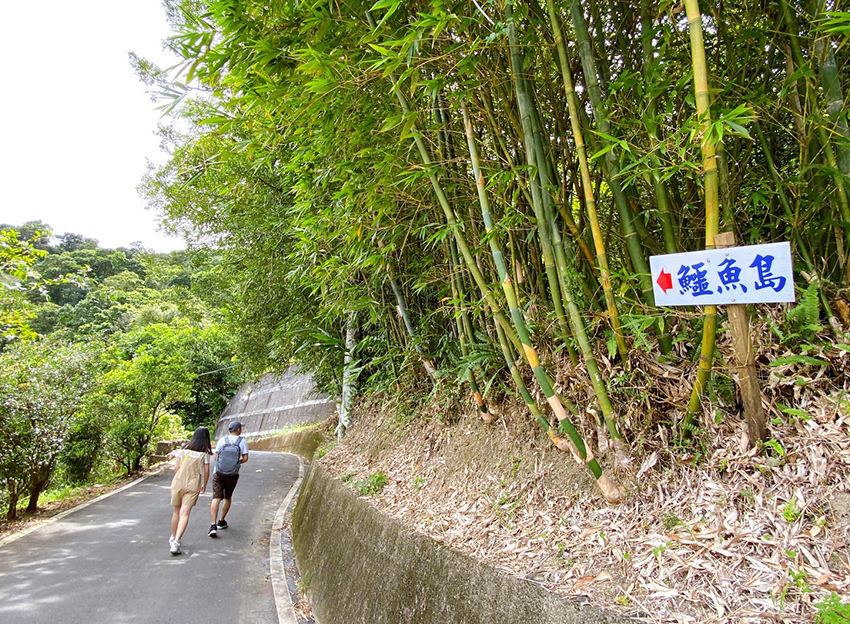 新北石碇鱷魚島、山嵐疊疊碧綠翡翠水庫、友善小車不用爬直接攻頂