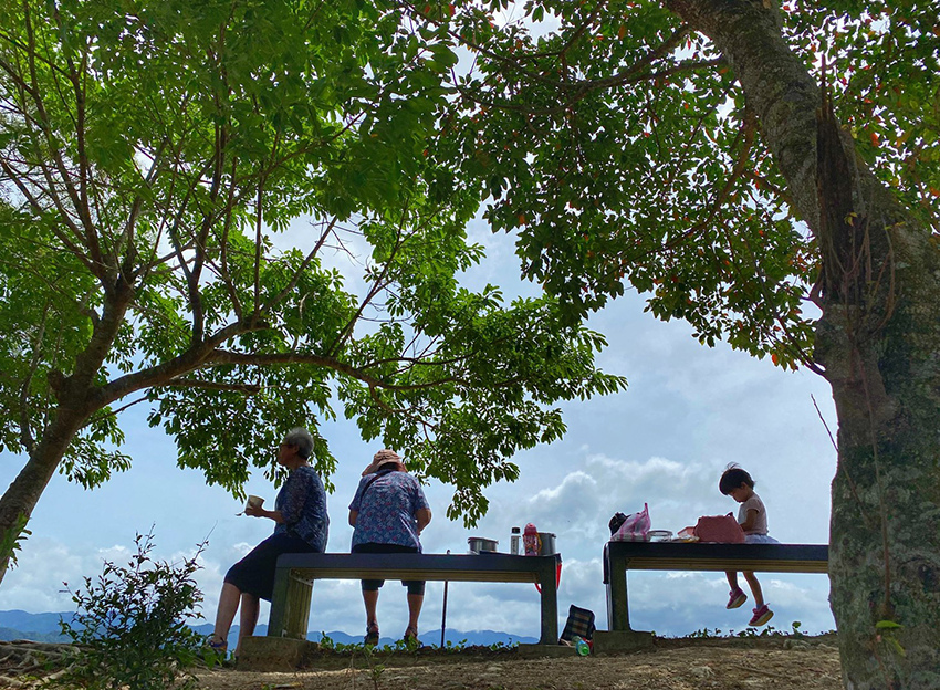 新北石碇鱷魚島、山嵐疊疊碧綠翡翠水庫、友善小車不用爬直接攻頂