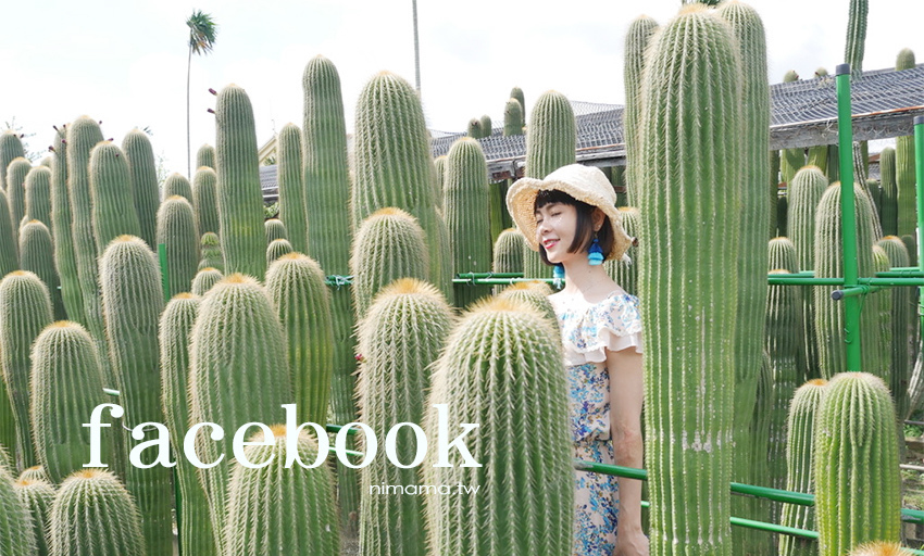 新北石碇鱷魚島、山嵐疊疊碧綠翡翠水庫、友善小車不用爬直接攻頂