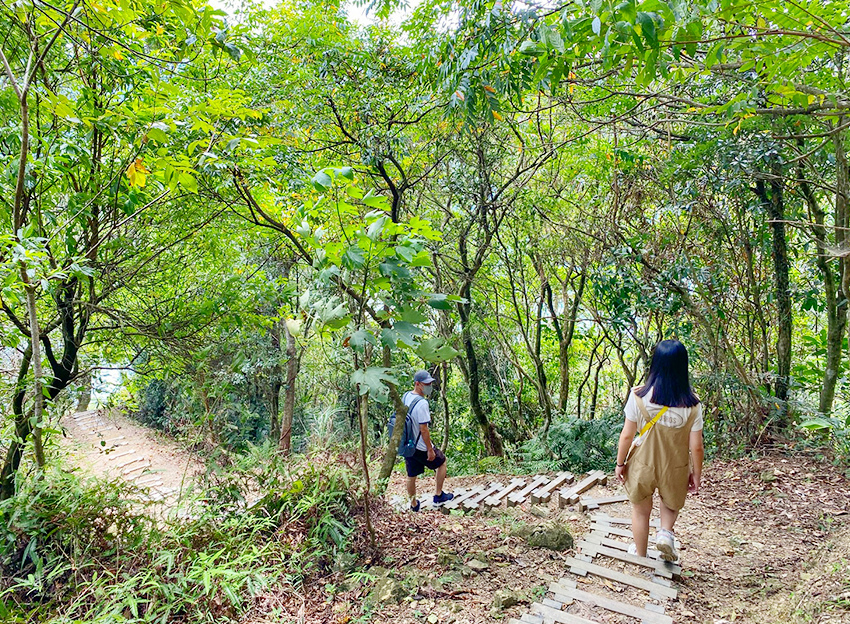 新北石碇鱷魚島、山嵐疊疊碧綠翡翠水庫、友善小車不用爬直接攻頂