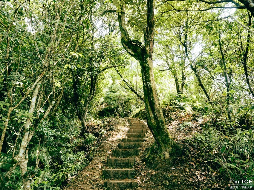 新北石碇5大必踏文青風景點！在私房秘境體驗慢茶旅。