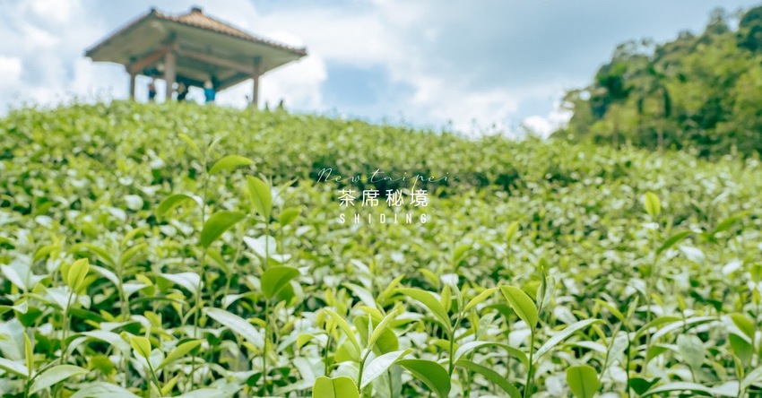 新北石碇5大必踏文青風景點！在私房秘境體驗慢茶旅。