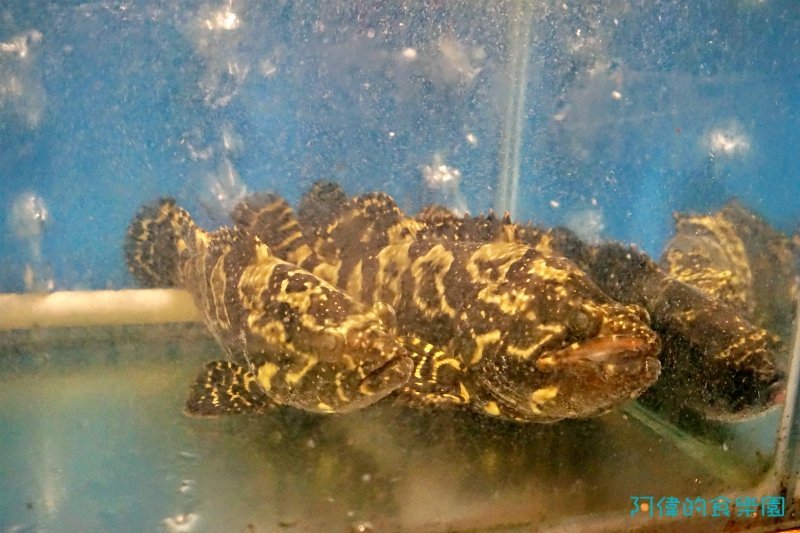 【忠孝復興】林美如 海鮮。熱炒。燒烤。酒場-google好評4.6顆星！數十種精釀啤酒、清酒以及超多的下酒菜、生猛海鮮超夠味，重點是CP值高！