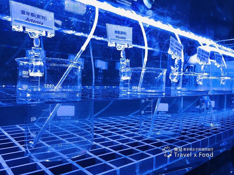 模擬環境溫濕度、氣味與聲音，日本八景島團隊跨海打造，全台首座日系都會型水族館：X PARK 都會型水生公園 @魚兒 x 牽手明太子的「視」界旅行