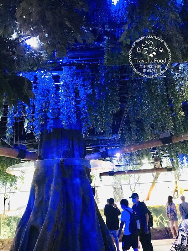 模擬環境溫濕度、氣味與聲音，日本八景島團隊跨海打造，全台首座日系都會型水族館：X PARK 都會型水生公園 @魚兒 x 牽手明太子的「視」界旅行